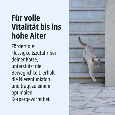 Für volle Vitalität bis ins hohe Alter. Fördert die Flüssigkeitszufuhr bei deiner Katze, unterstützt Beweglichkeit, Nierenfunktion und optimales Körpergewicht. Für volle Vitalität bis ins hohe Alter. Fördert die Flüssigkeitszufuhr bei deiner Katze, unterstützt Beweglichkeit, Nierenfunktion und optimales Körpergewicht.