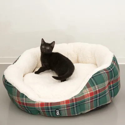 Katzenbett mit weichem, weissem Innenfutter und grün-rotem Karomuster aussen. Schwarze Katze sitzt im Bett.