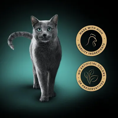 Product features: made with high quality ingredients; no artificial colours or preservatives.