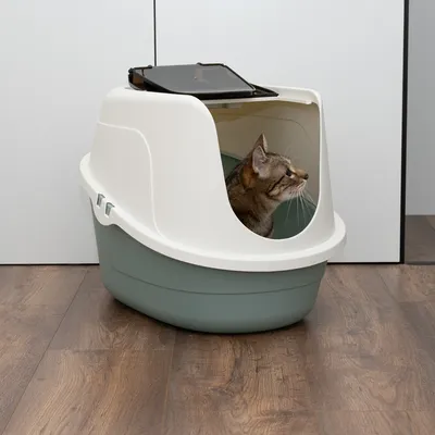 Затворена котешка тоалетна с бял капак и зелена основа, котка вътре. Подходяща за дискретна употреба от котки.