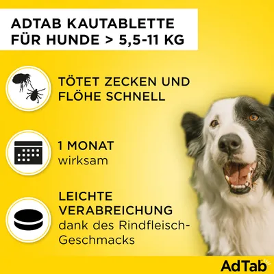 AdTab Kautablette für Hunde >5,5-11 kg. Tötet Zecken und Flöhe schnell, 1 Monat wirksam, leichte Verabreichung dank des Rindfleisch-Geschmacks.