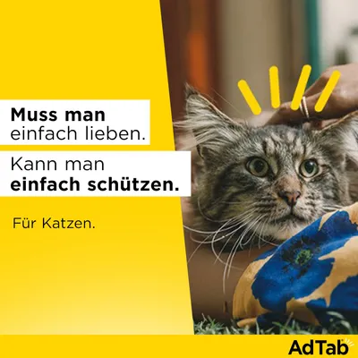 Text: Muss man einfach lieben. Kann man einfach schützen. Für Katzen. Marke: AdTab.