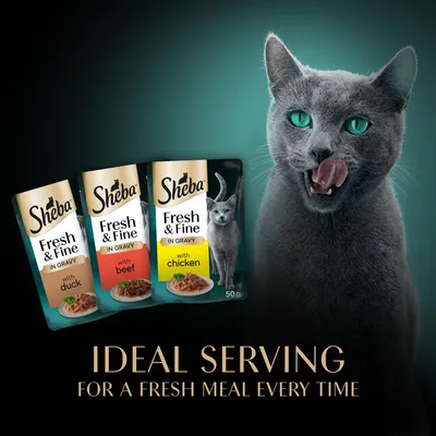 Sheba Fresh & Fine in Gravy pouches with duck, beef, and chicken flavours. Text reads: Ideal serving for a fresh meal every time. Image shows a cat licking its lips.