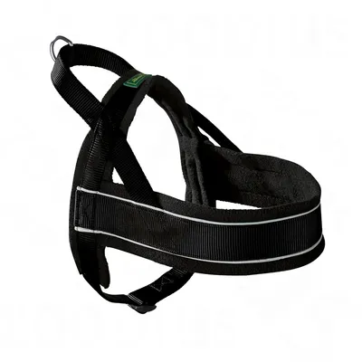 Black padded dog harness with reflective strip, metal ring for lead attachment, and adjustable straps. Small green label with yellow text visible on top strap.