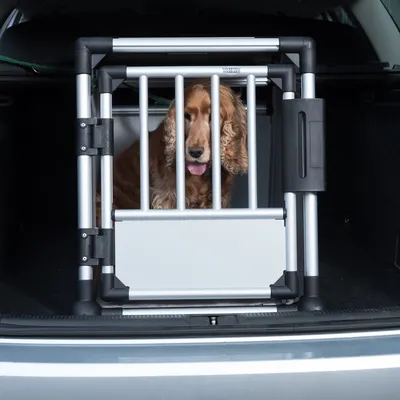 Transport box made of metal and plastic with grid door, placed in the boot of a car.