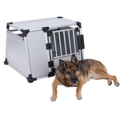 Transport box made of metal and plastic with grid door, suitable for pets. Dog lying next to the box.