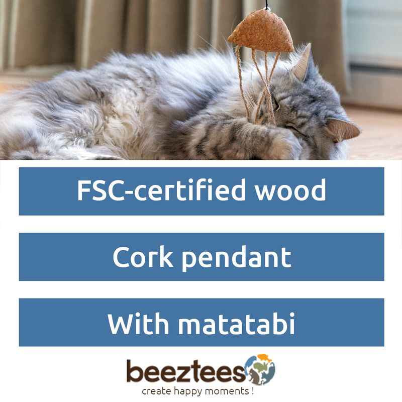 Beeztees Catnip Cat Toy Set Cork