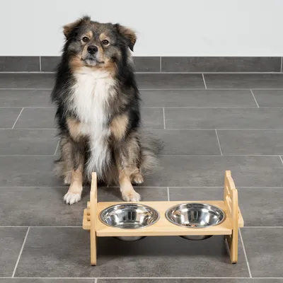 Holzständer mit zwei Edelstahl-Näpfen, geeignet für Haustiere. Hund sitzt hinter dem Futterstation auf grauem Fliesenboden.