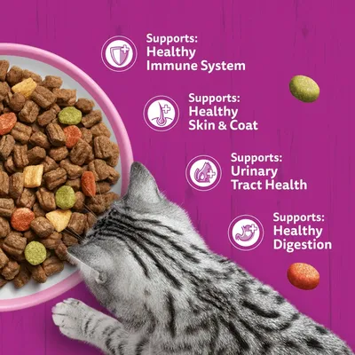 Whiskas 1+ Salmon - Economy Pack: 2 x 1.9kg