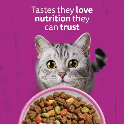 Whiskas 1+ Salmon - Economy Pack: 2 x 1.9kg