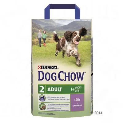 Opakowanie Purina Dog Chow Adult 2 z jagnięciną, dla psów powyżej 1 roku. Widoczne napisy: 'with lamb', 'ADULT', '1+ years', ilustracje psa i ludzi na tle krajobrazu.