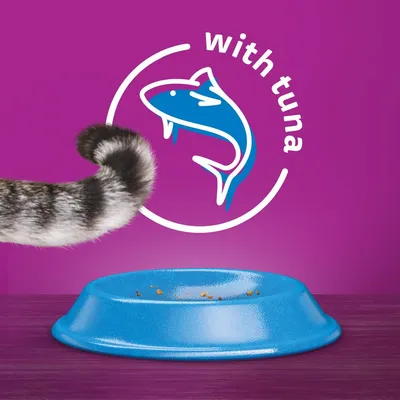 Blue food bowl with a few crumbs, a striped tail, and a graphic showing a fish with the words 'with tuna' on a purple background.