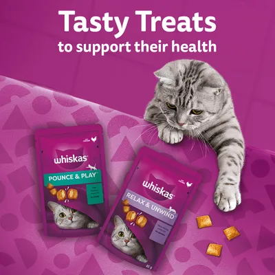 Két Whiskas macska jutalomfalat csomag: Pounce & Play és Relax & Unwind, 45 g-os kiszerelésben, mellettük szürke cica és néhány falat. Látható angol nyelvű reklámszöveg.