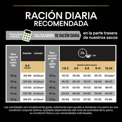 Tabla de ración diaria recomendada para perros según peso corporal y edad. Incluye gestación, lactación y cantidades en gramos por día para cachorros de 1 a 24 meses y adultos.