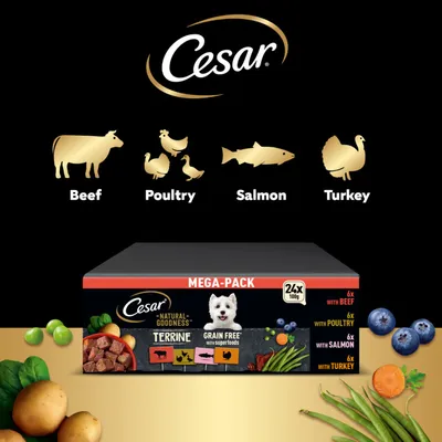 Cesar Natural Goodness Terrine Mixed Selection - 24 x 100g Cesar Natural Goodness Terrine Mixed Selection - 24 x 100g