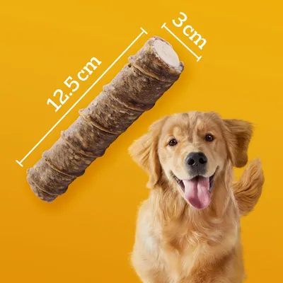 Tuggpinne med mått: längd 12,5 cm och diameter 3 cm. Hund syns bredvid tuggpinnen.