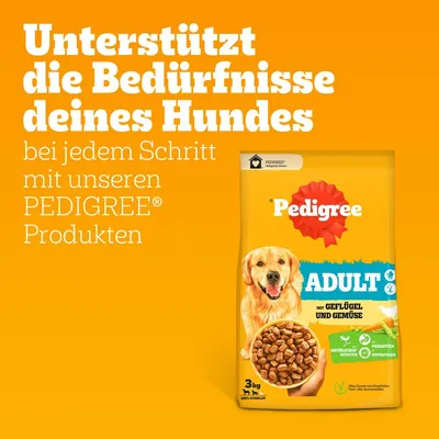 Pedigree Adult hrana za pse s peradi i povrćem, 3 kg. Podržava potrebe vašeg psa u svakoj fazi s prirodnim sastojcima i superhranom.