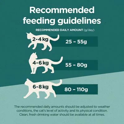 Utfodringsråd för katter: 2–4 kg, 25–55 g; 4–6 kg, 55–80 g; 6–8 kg, 80–110 g per dag. Text på engelska om att mängden bör anpassas efter kattens behov.