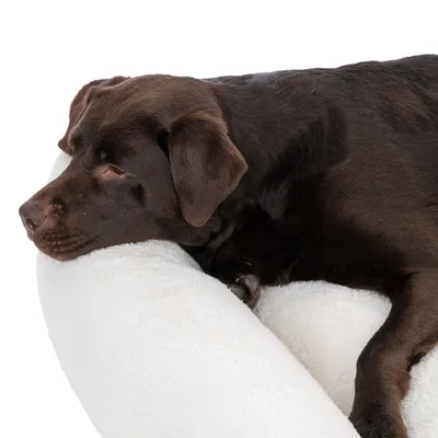 Brown dog lying relaxed on a white, fluffy cushion. Product shows comfort and use of the accessory.