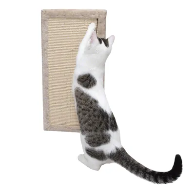 Katzenkratzbrett mit Sisalfläche, weisse Katze kratzt daran. Geeignet zur Wandmontage oder Bodenplatzierung.