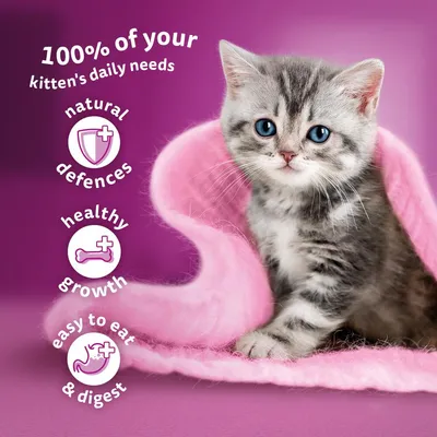 Text states: 100% of your kitten's daily needs. Features include natural defences, healthy growth, easy to eat and digest.