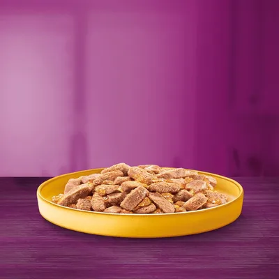 Bowl filled with chunks of wet pet food in gravy, displayed on a purple surface.