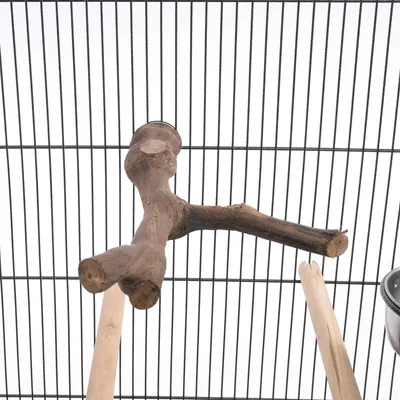 Wooden perch with natural branch shape, attached to a metal cage. Suitable as a perch for birds.