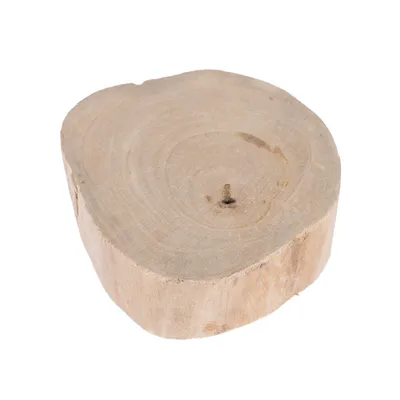 Tranche de bois naturel, section circulaire avec écorce retirée et anneaux de croissance visibles. Matière : bois.
