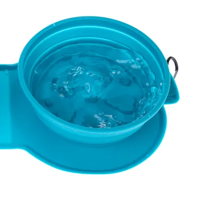 Gamelle pliante bleue en plastique remplie d’eau, avec mousqueton métallique visible sur le côté.