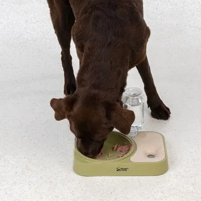 Modern Living двойная миска SaPa