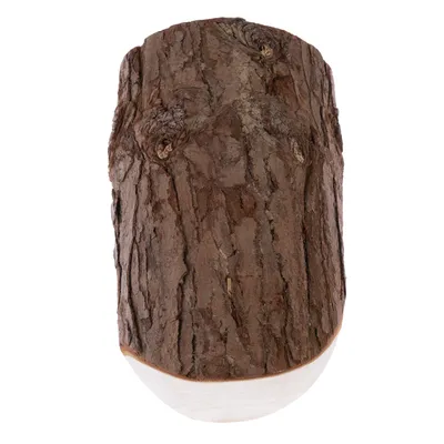 Bucată de lemn cu scoarță naturală, potrivită pentru decorare sau scopuri artizanale.