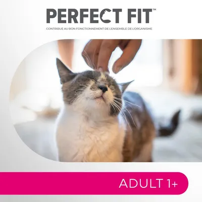 PERFECT FIT, contribue au bon fonctionnement de l’ensemble de l’organisme, ADULT 1+ visible sur l’image avec un chat adulte caressé par une main.