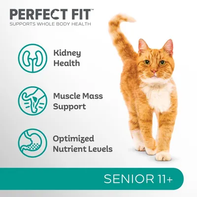 Key features: kidney health, muscle mass support, optimised nutrient levels for senior 11+; supports whole body health. Image shows a cat and feature icons.