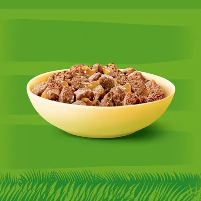 Gelbe Schüssel mit fleischhaltigem Nassfutter, sichtbar sind Stücke in Sosse vor grünem Hintergrund.