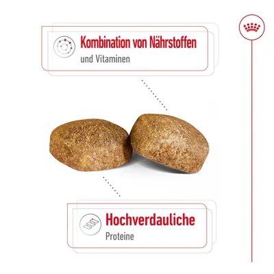 Croquettes avec texte en allemand : Kombination von Nährstoffen und Vitaminen, Hochverdauliche Proteine. Texte non traduit.