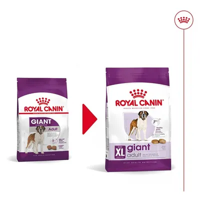 Промяна на опаковката на Royal Canin GIANT Adult към Royal Canin XL giant adult. Видими са двете торби с куче и лилави етикети.