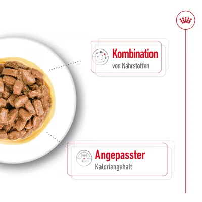 Kombination von Nährstoffen und angepasster Kaloriengehalt. Abbildung von Nassfutterstücken in Sosse.