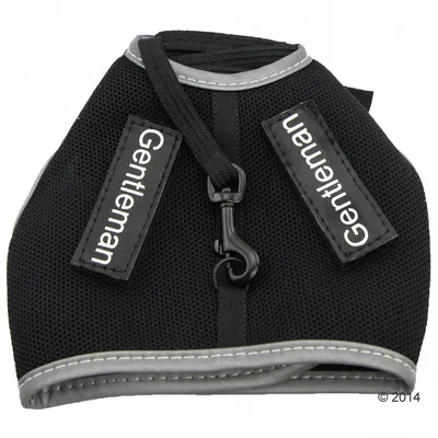Black harness with reflective trim, two visible labels reading 'Gentleman', and a central metal clip attachment.