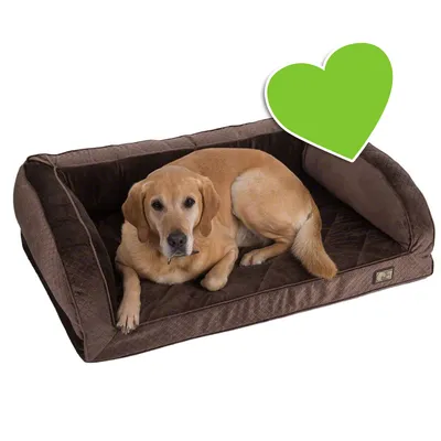 Ortopedyczna sofa dla psa Wellness