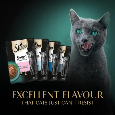 Sheba Sauce Collection pouches with text: Excellent flavour that cats just can’t resist. Visible flavours include sauce lover with salmon and sauce lover with fish, 85g each.