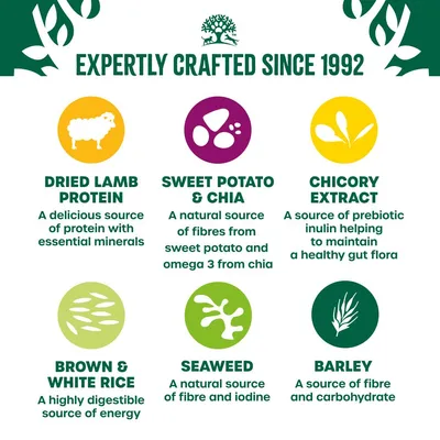 James Wellbeloved Adult Hypoallergenic Superfoods - Lamb with Potato & Chia