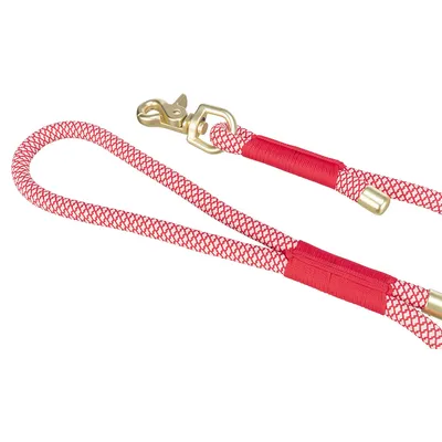 Rote Hundeleine aus geflochtenem Seil mit goldfarbenem Karabinerhaken und Metallbeschlägen.