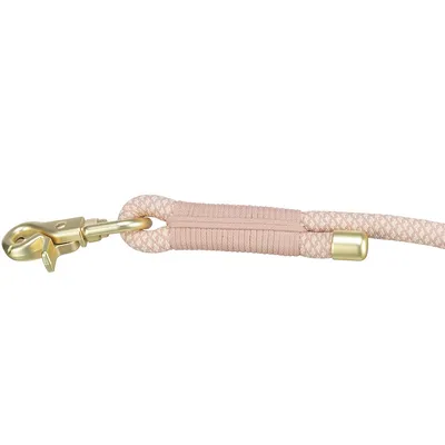 Rosa Hundeleine mit goldfarbenem Karabinerhaken und verstärktem Griffbereich. Geflochtenes Design mit Metallabschluss.