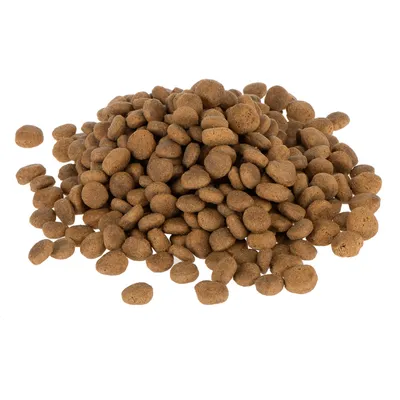 Hrskave smeđe okrugle granule suhe hrane za kućne ljubimce na bijeloj podlozi, bez vidljivih oznaka brenda ili pakiranja.