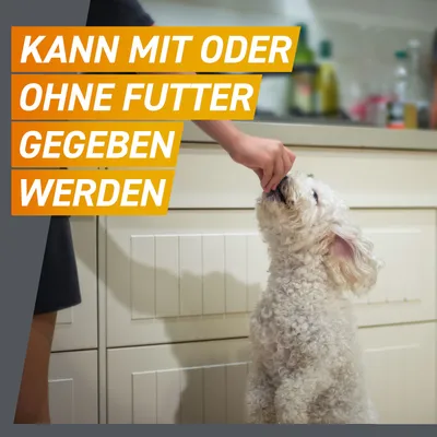 Text: Kann mit oder ohne Futter gegeben werden. Hund wird von Hand gefüttert.