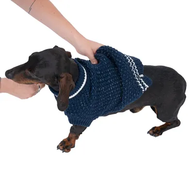 Hund trägt einen dunkelblauen Strickpullover mit weissen Streifen, während eine Person den Pullover anpasst.