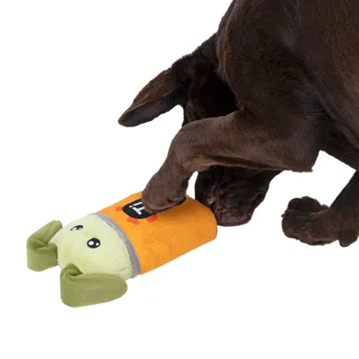 Hund leker med en orange-grön plyschleksak i form av en raket.