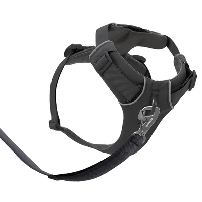 Black dog harness with adjustable straps, padded inner material and metal ring for lead attachment.