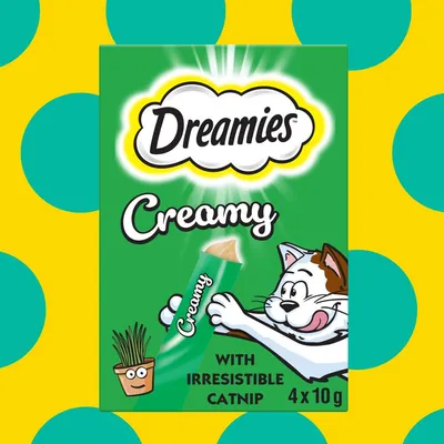 Dreamies Creamy with irresistible catnip, 4 x 10g sachets shown on packaging, featuring a cartoon cat and a plant illustration.