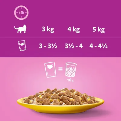 Feeding guide showing daily portions: 3 to 3½ pouches for 3kg, 3½ to 4 pouches for 4kg, 4 to 4½ pouches for 5kg. One pouch equals 16g of dry food.